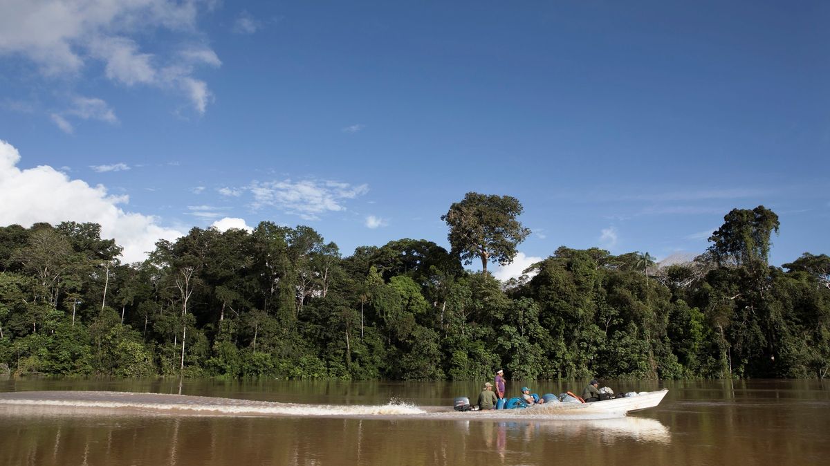 Podezřelý se přiznal k vraždě britského novináře v Amazonii